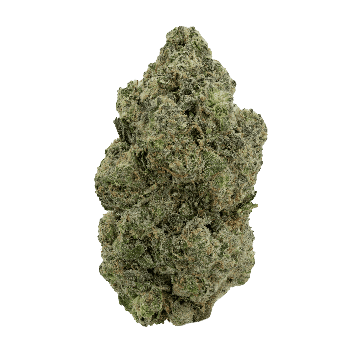 White Zerbert