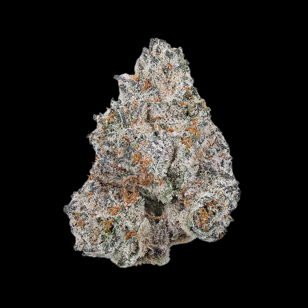 White Truffle